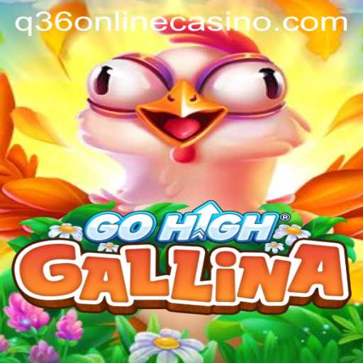 Discovering the World of GoHighGallina: An In-Depth Look